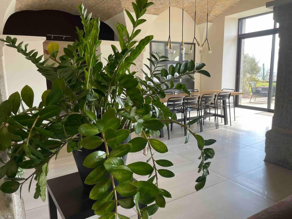 Chambres - Ancien Domaine De Chartreux Tullins المظهر الخارجي الصورة